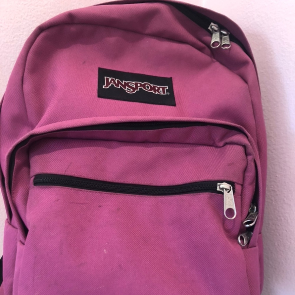 JANSPORT RIGHT PACK Backpack Magenta Haze/Users/se